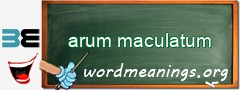 WordMeaning blackboard for arum maculatum